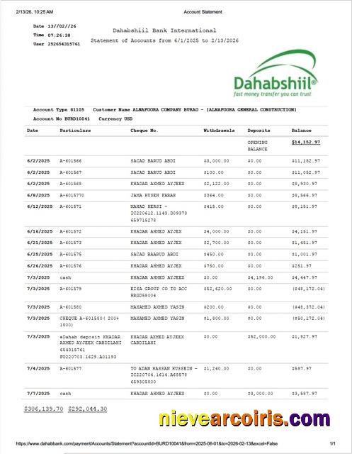 Somalia Dahabshiil Bank International account statement Word and PDF